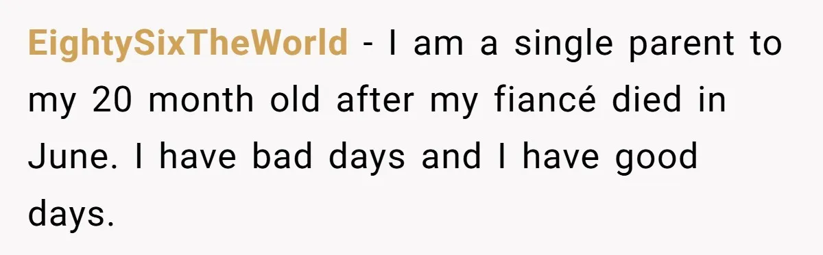 EightySixTheWorld − I am a single parent to my 20 month old after my fiancé died in June. I have bad days and I have good days.
