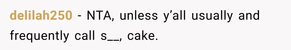 delilah250 − NTA, unless y’all usually and frequently call s__, cake.