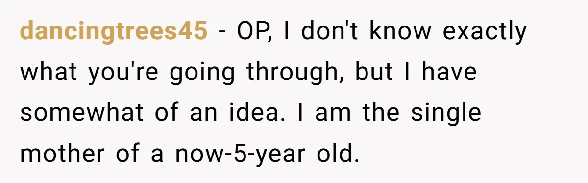 dancingtrees45 − OP, I don't know exactly what you're going through, but I have somewhat of an idea. I am the single mother of a now-5-year old.