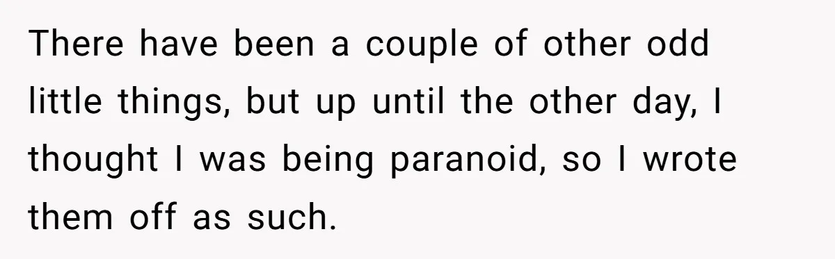 There have been a couple of other odd little things, but up until the other day, I thought I was being paranoid, so I wrote them off as such.