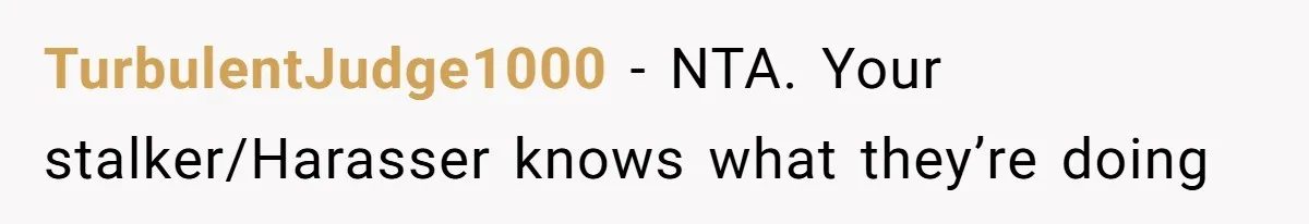 TurbulentJudge1000 − NTA. Your stalker/Harasser knows what they’re doing