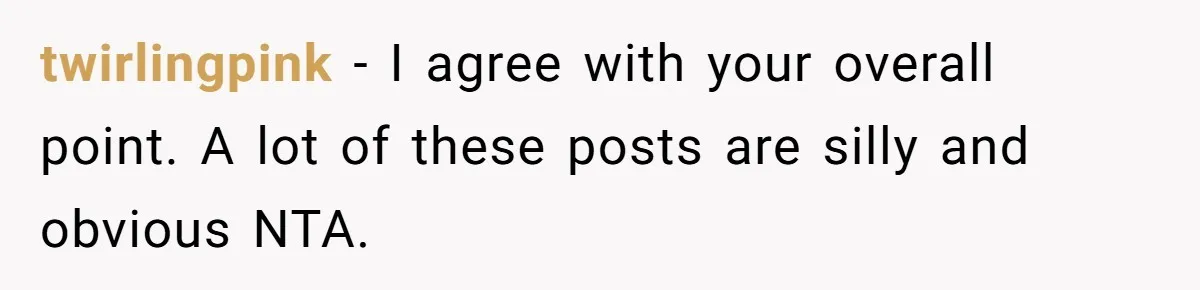 twirlingpink − I agree with your overall point. A lot of these posts are silly and obvious NTA.