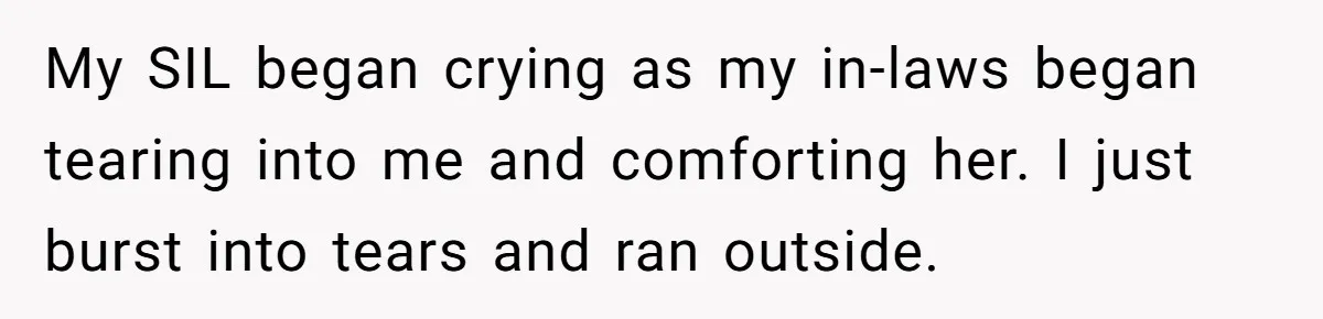 My SIL began crying as my in-laws began tearing into me and comforting her. I just burst into tears and ran outside.