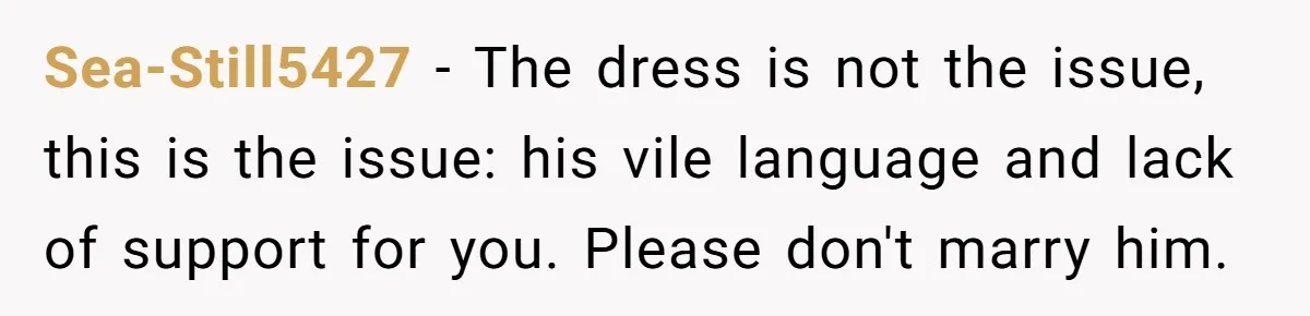 Sea-Still5427 − The dress is not the issue, this is the issue: his vile language and lack of support for you. Please don't marry him.