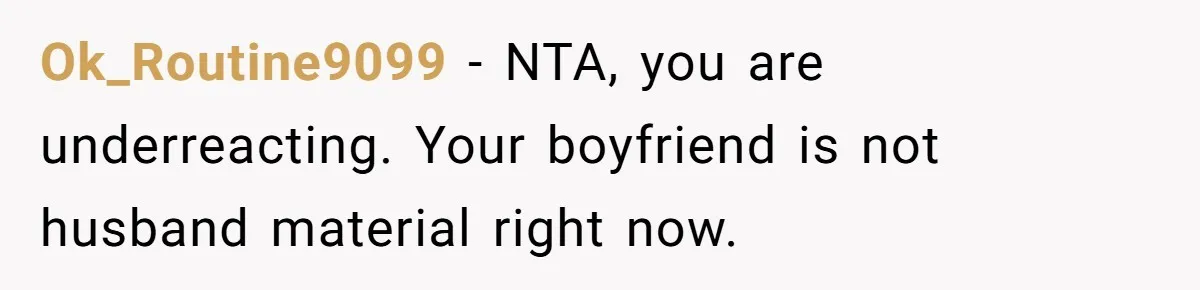Ok_Routine9099 − NTA, you are underreacting. Your boyfriend is not husband material right now.