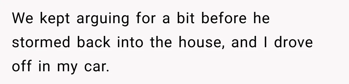 We kept arguing for a bit before he stormed back into the house, and I drove off in my car.