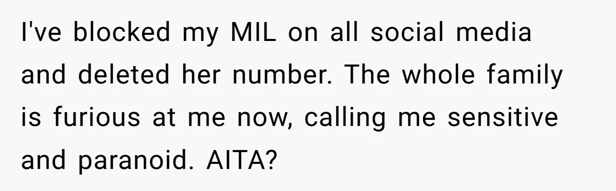 I've blocked my MIL on all social media and deleted her number. The whole family is furious at me now, calling me sensitive and paranoid. AITA?