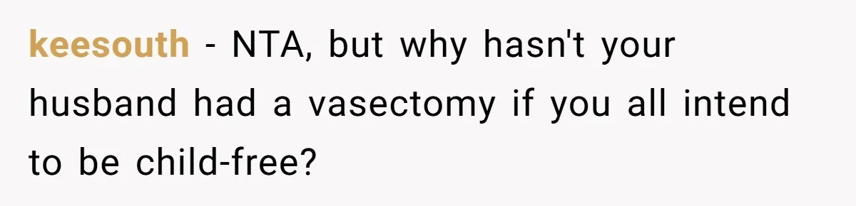 keesouth − NTA, but why hasn't your husband had a vasectomy if you all intend to be child-free?
