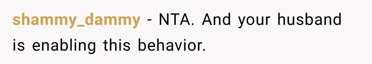 shammy_dammy − NTA. And your husband is enabling this behavior.