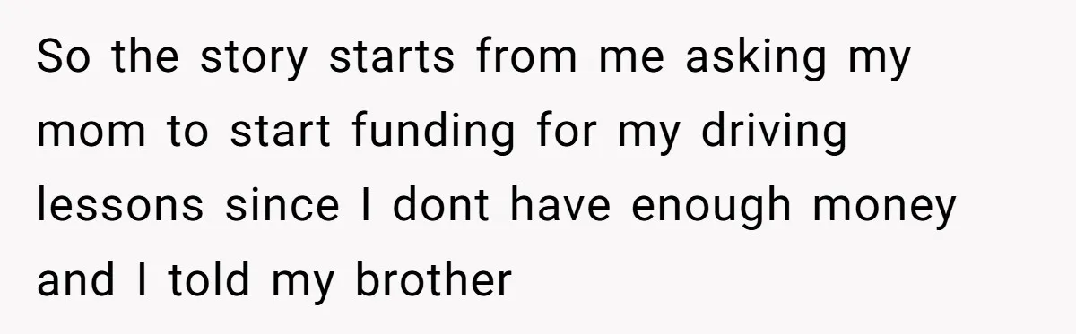 So the story starts from me asking my mom to start funding for my driving lessons since I dont have enough money and I told my brother