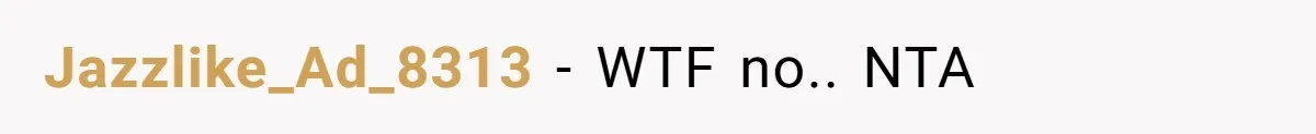 Jazzlike_Ad_8313 − WTF no.. NTA