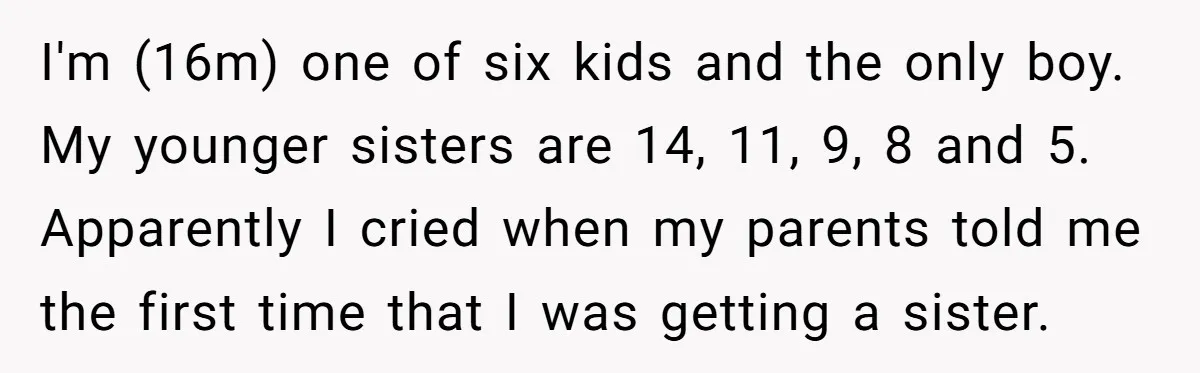 I'm (16m) one of six kids and the only boy. My younger sisters are 14, 11, 9, 8 and 5. Apparently I cried when my parents told me the first...