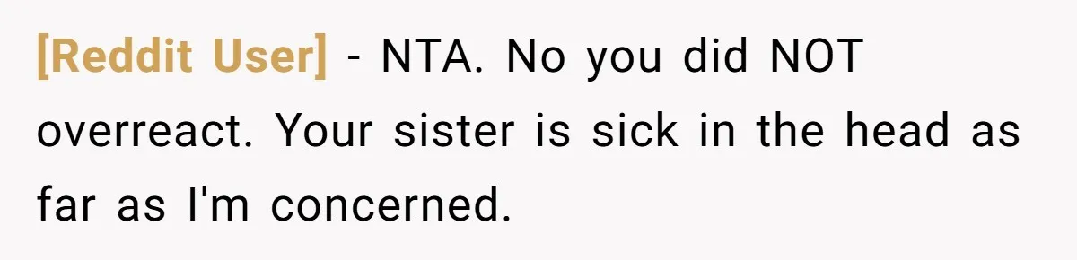 [Reddit User] − NTA. No you did NOT overreact. Your sister is sick in the head as far as I'm concerned.