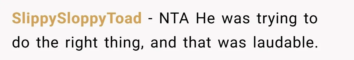 SlippySloppyToad − NTA He was trying to do the right thing, and that was laudable.