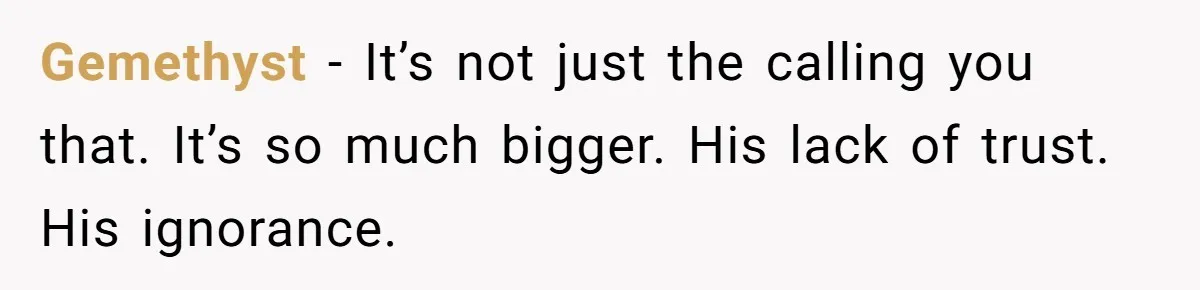 Gemethyst − It’s not just the calling you that. It’s so much bigger. His lack of trust. His ignorance.