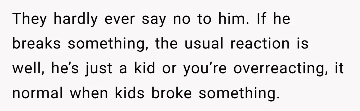 They hardly ever say no to him. If he breaks something, the usual reaction is well, he’s just a kid or you’re overreacting, it normal when kids broke something.
