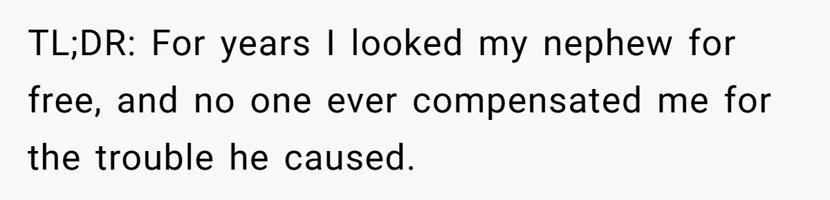 TL;DR: For years I looked my nephew for free, and no one ever compensated me for the trouble he caused.