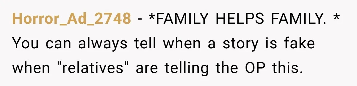 Horror_Ad_2748 − *FAMILY HELPS FAMILY. * You can always tell when a story is fake when "relatives" are telling the OP this.