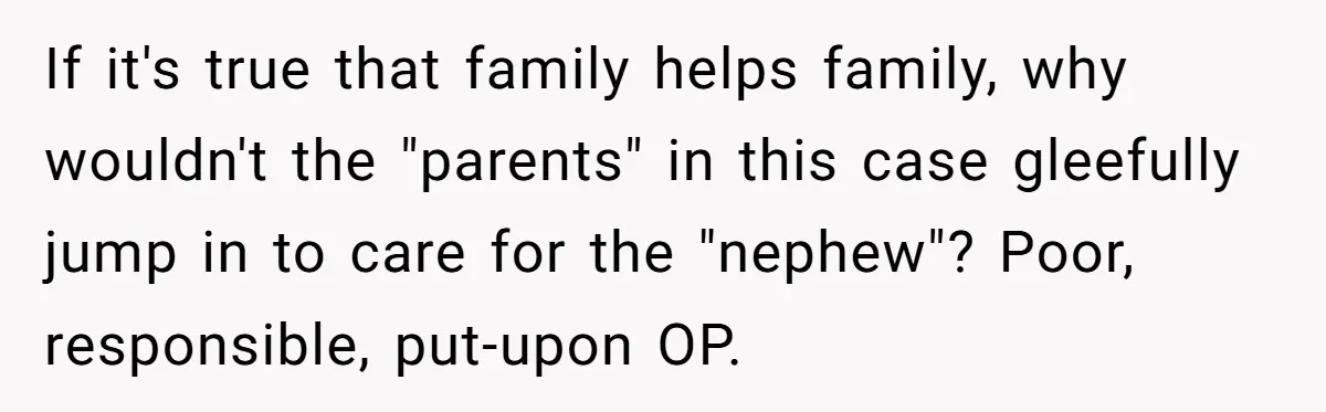 If it's true that family helps family, why wouldn't the "parents" in this case gleefully jump in to care for the "nephew"? Poor, responsible, put-upon OP.