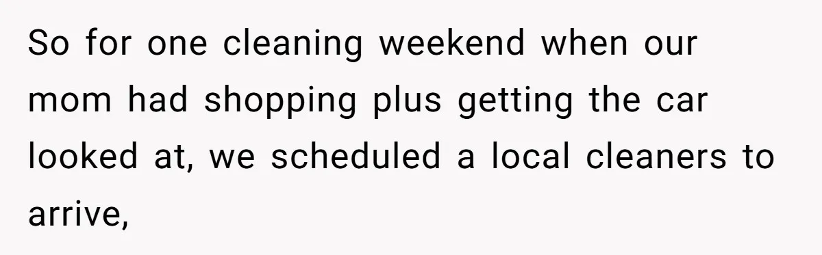 So for one cleaning weekend when our mom had shopping plus getting the car looked at, we scheduled a local cleaners to arrive,