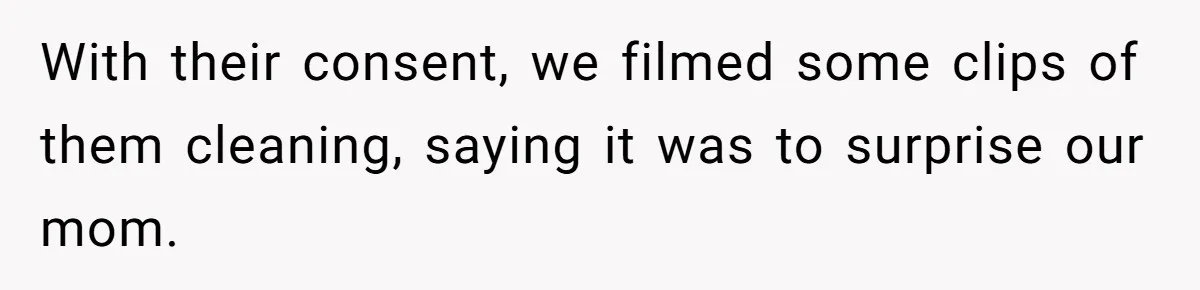 With their consent, we filmed some clips of them cleaning, saying it was to surprise our mom.