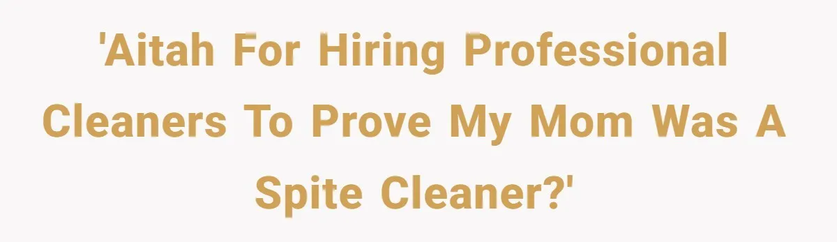 'AITAH for hiring professional cleaners to prove my mom was a spite cleaner?'