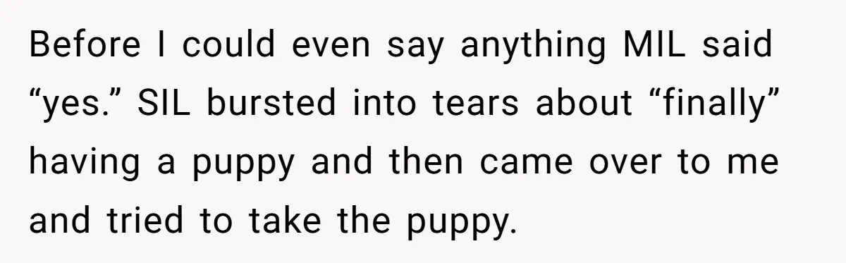 Before I could even say anything MIL said “yes.” SIL bursted into tears about “finally” having a puppy and then came over to me and tried to take the puppy.