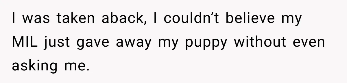 I was taken aback, I couldn’t believe my MIL just gave away my puppy without even asking me.
