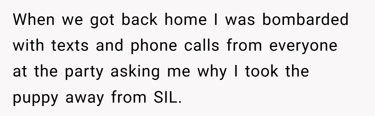 When we got back home I was bombarded with texts and phone calls from everyone at the party asking me why I took the puppy away from SIL.