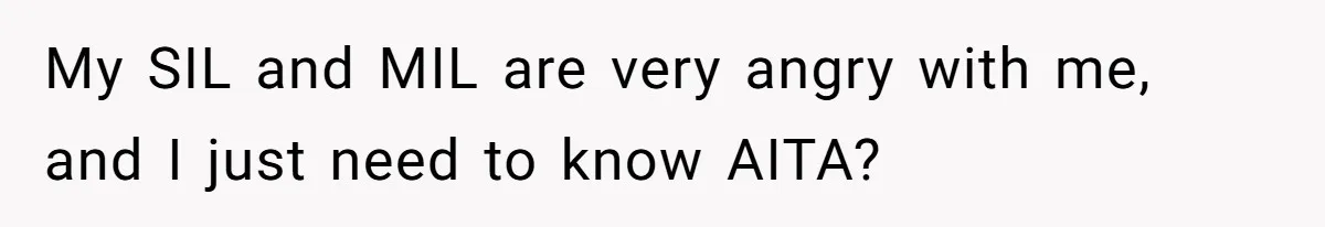 My SIL and MIL are very angry with me, and I just need to know AITA?