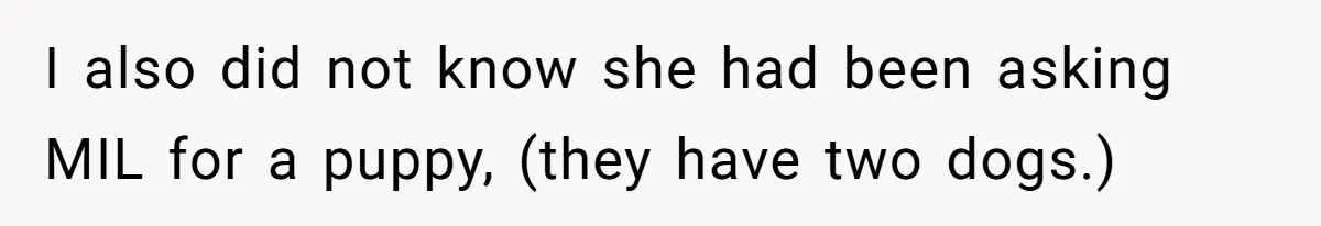 I also did not know she had been asking MIL for a puppy, (they have two dogs.)