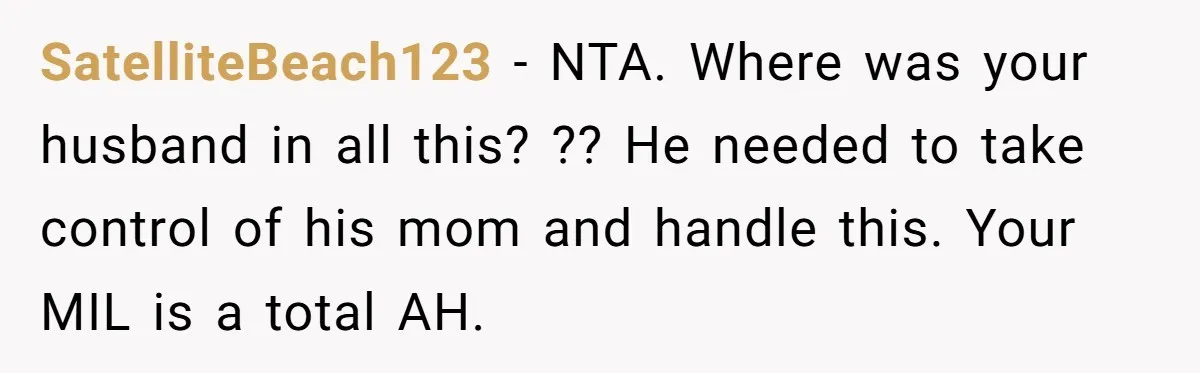 SatelliteBeach123 − NTA. Where was your husband in all this? ?? He needed to take control of his mom and handle this. Your MIL is a total AH.