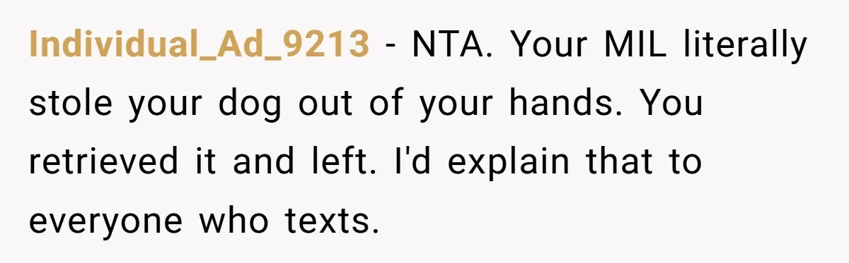Individual_Ad_9213 − NTA. Your MIL literally stole your dog out of your hands. You retrieved it and left. I'd explain that to everyone who texts.