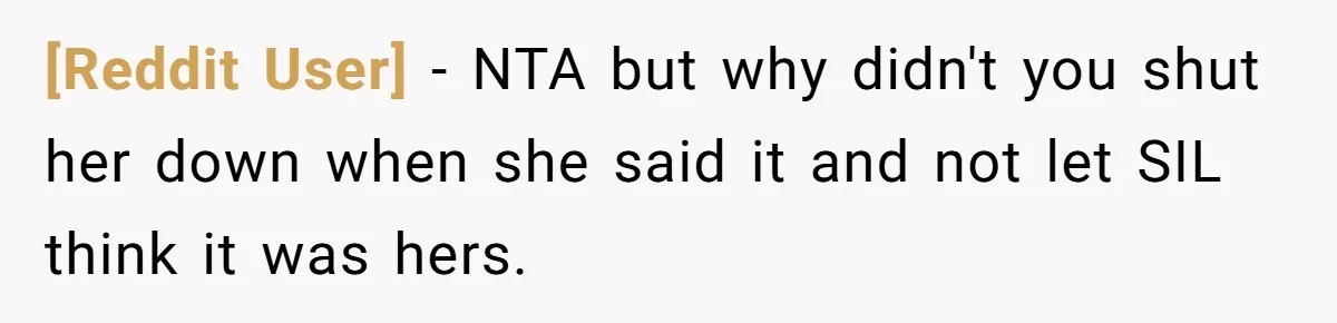 [Reddit User] − NTA but why didn't you shut her down when she said it and not let SIL think it was hers.