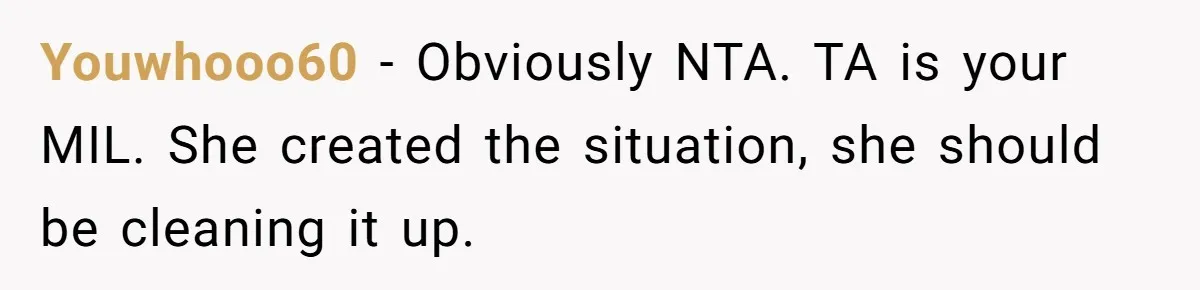 Youwhooo60 − Obviously NTA. TA is your MIL. She created the situation, she should be cleaning it up.