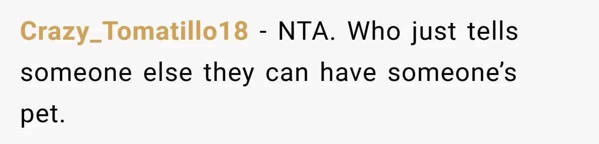 Crazy_Tomatillo18 − NTA. Who just tells someone else they can have someone’s pet.