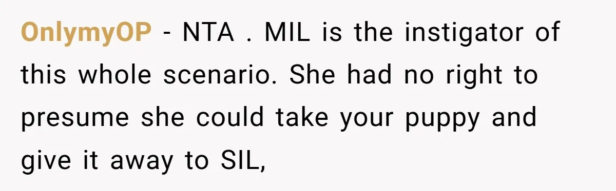 OnlymyOP − NTA . MIL is the instigator of this whole scenario. She had no right to presume she could take your puppy and give it away to SIL,
