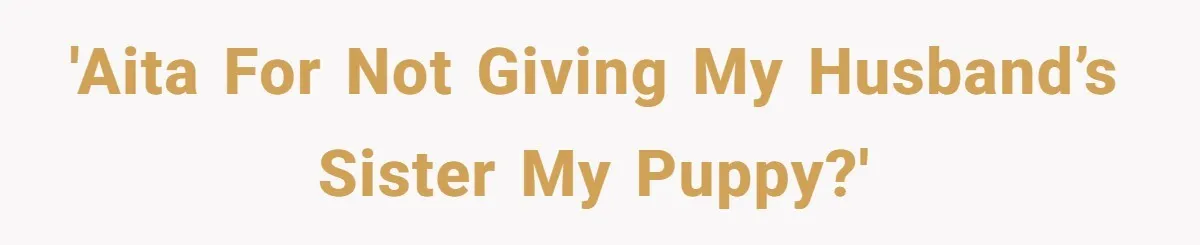 'AITA for not giving my Husband’s sister MY puppy?'