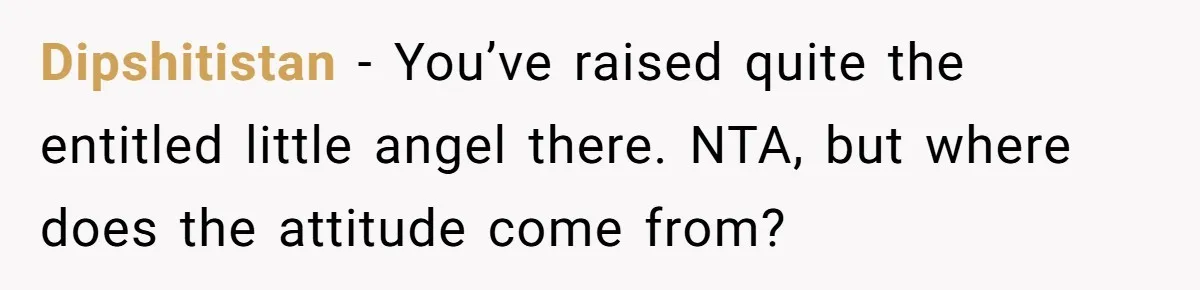Dipshitistan − You’ve raised quite the entitled little angel there. NTA, but where does the attitude come from?