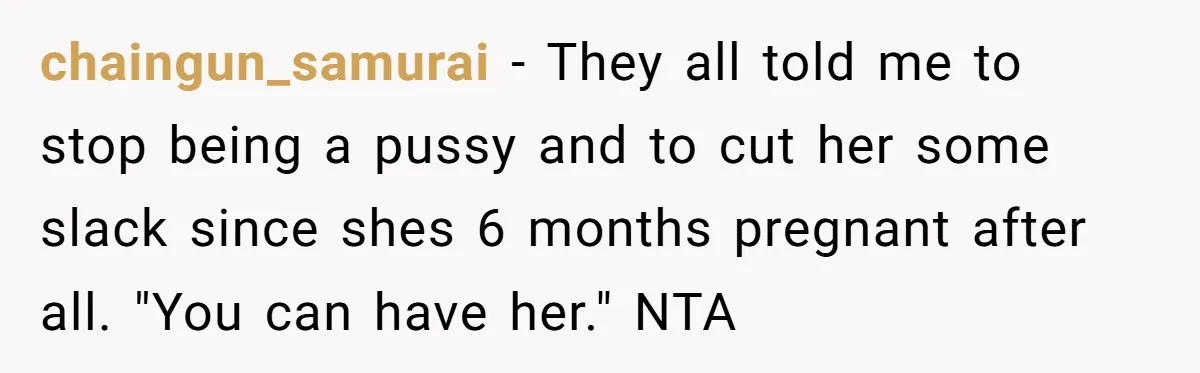 chaingun_samurai − They all told me to stop being a pussy and to cut her some slack since shes 6 months pregnant after all. "You can have her." NTA