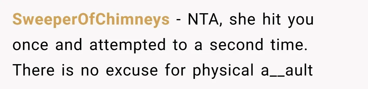 SweeperOfChimneys − NTA, she hit you once and attempted to a second time. There is no excuse for physical a__ault