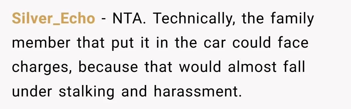 Silver_Echo − NTA. Technically, the family member that put it in the car could face charges, because that would almost fall under stalking and harassment.