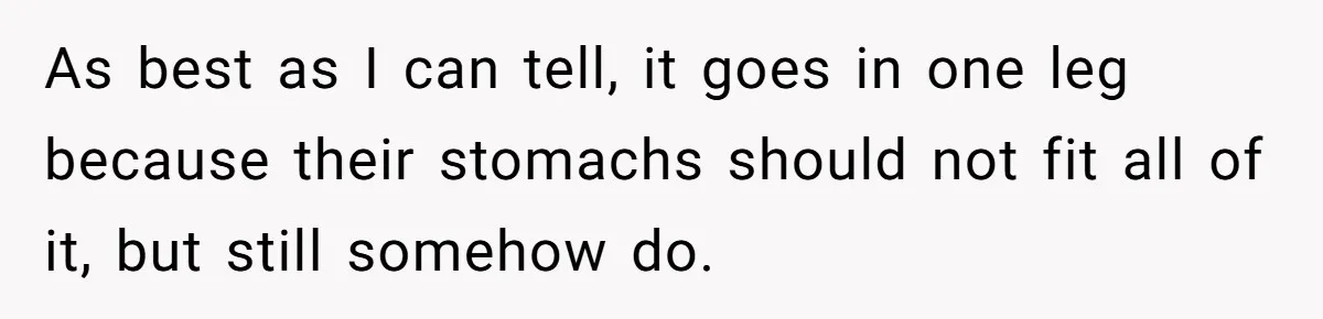As best as I can tell, it goes in one leg because their stomachs should not fit all of it, but still somehow do.