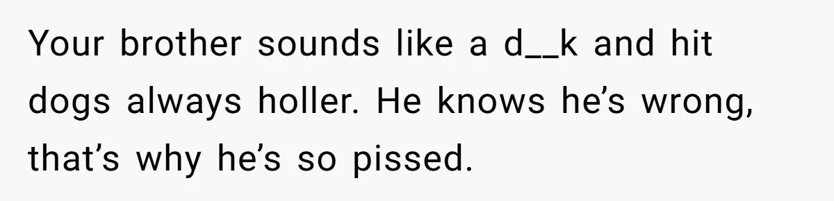 Your brother sounds like a d__k and hit dogs always holler. He knows he’s wrong, that’s why he’s so pissed.