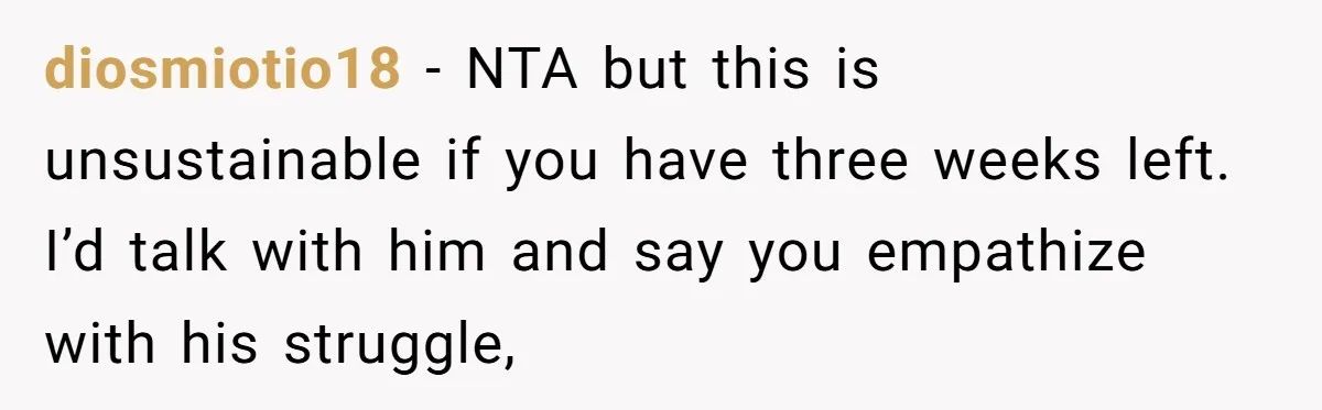 diosmiotio18 − NTA but this is unsustainable if you have three weeks left. I’d talk with him and say you empathize with his struggle,