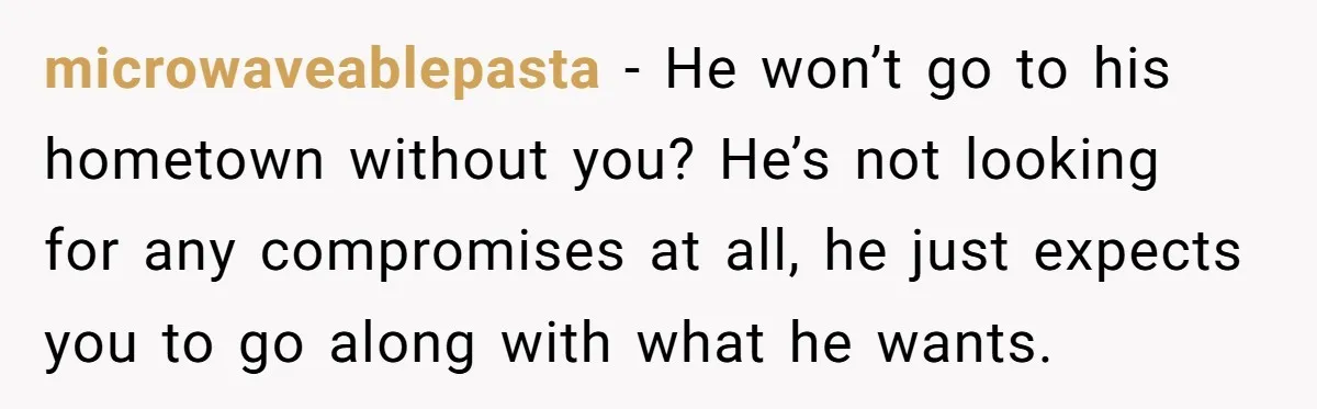 microwaveablepasta − He won’t go to his hometown without you? He’s not looking for any compromises at all, he just expects you to go along with what he wants.