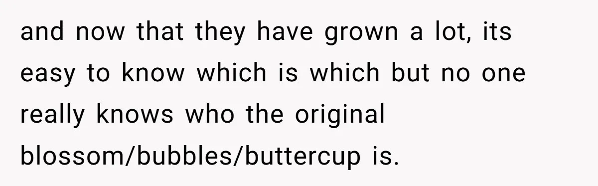 and now that they have grown a lot, its easy to know which is which but no one really knows who the original blossom/bubbles/buttercup is.
