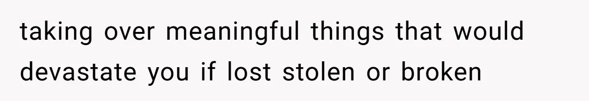 taking over meaningful things that would devastate you if lost stolen or broken