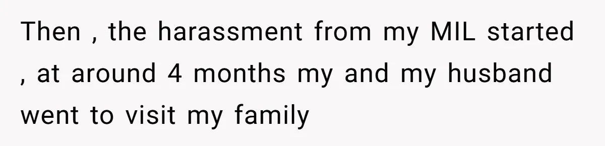 Then , the harassment from my MIL started , at around 4 months my and my husband went to visit my family