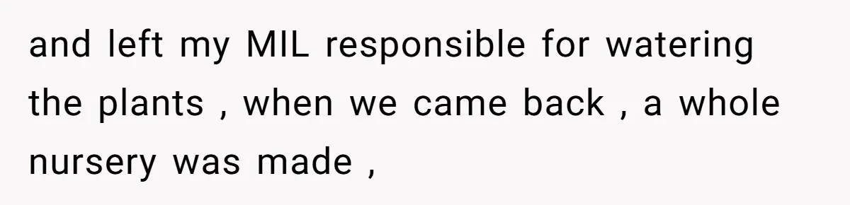 and left my MIL responsible for watering the plants , when we came back , a whole nursery was made ,